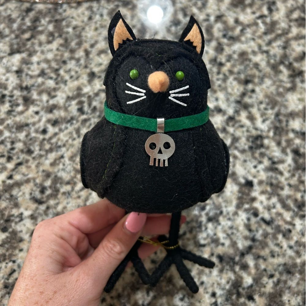 Black Cat Target Bird